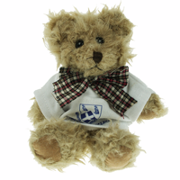 15cm Windsor Bear With T-Shirt