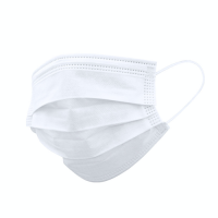 Nombix Hygienic Mask