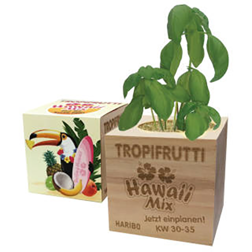 Custom Printed Eco Friendly Plant Pot Cubes